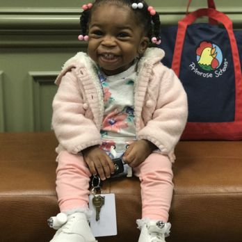 PRIMROSE SCHOOL OF ROUND ROCK NORTH - Updated October 2025 - 64 Photos ...