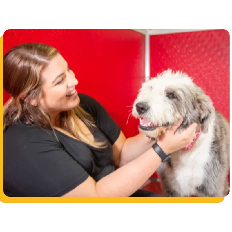 The Dog Stop - Colorado Springs Airport - pet boarding facility in Colorado Springs, CO