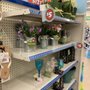 Photo of Dollar Tree