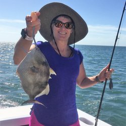 L'il Toot Charters - A big Trigger Fish