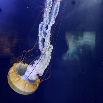 NightLife - Museums Near Me - San Francisco, California NightLife - Museums Near Me - San Francisco, California