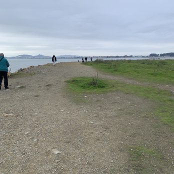 Point Isabel Regional Shoreline - Dog Parks Near Me - Richmond, California Point Isabel Regional Shoreline - Dog Parks Near Me - Richmond, California