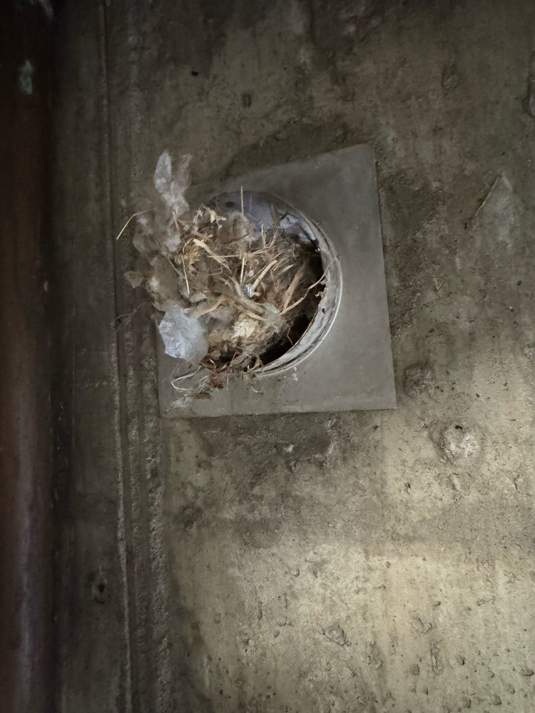 Slide of Picciones Heating and Cooling