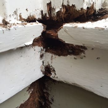 Lingruen Associates - Bad inspection by Lungruen and Associates - Pest Control Near Me - San Francisco, California Lingruen Associates - Bad inspection by Lungruen and Associates - Pest Control Near Me - San Francisco, California