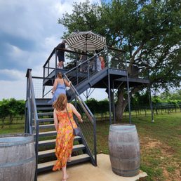 Headed up to the "treehouse" for our wine tasting! Headed up to the "treehouse" for our wine tasting!