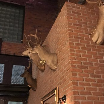 Thyme Kitchen and Craft Beer - Added flair with taxidermy. - Gastropubs Near Me - Peoria, Illinois Thyme Kitchen and Craft Beer - Added flair with taxidermy. - Gastropubs Near Me - Peoria, Illinois
