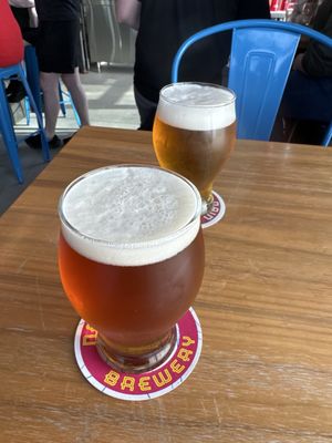 Roar Brewing Company by null