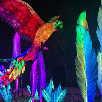 Tianyu Lights Festival - Festivals Near Me - Phoenix, Arizona Tianyu Lights Festival - Festivals Near Me - Phoenix, Arizona
