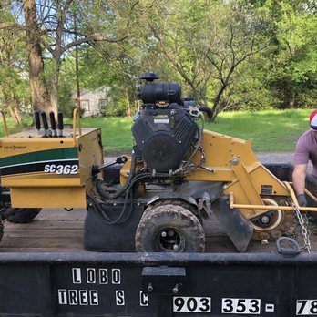 Lobo Tree Service - New stump grinder - Tree Services Near Me - Longview, Texas Lobo Tree Service - New stump grinder - Tree Services Near Me - Longview, Texas