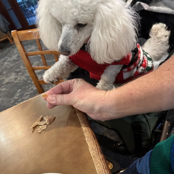 The Grill at Willowbrook - a poodle sitting at a table - New American Near Me - Lakeside, California The Grill at Willowbrook - a poodle sitting at a table - New American Near Me - Lakeside, California