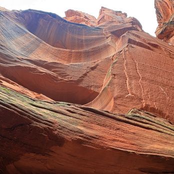 Taadidiin Tours - Beauty - Walking Tours Near Me - Page, Arizona Taadidiin Tours - Beauty - Walking Tours Near Me - Page, Arizona