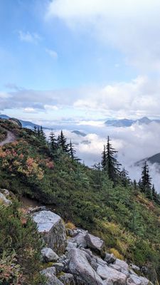 North Cascades National Park by null