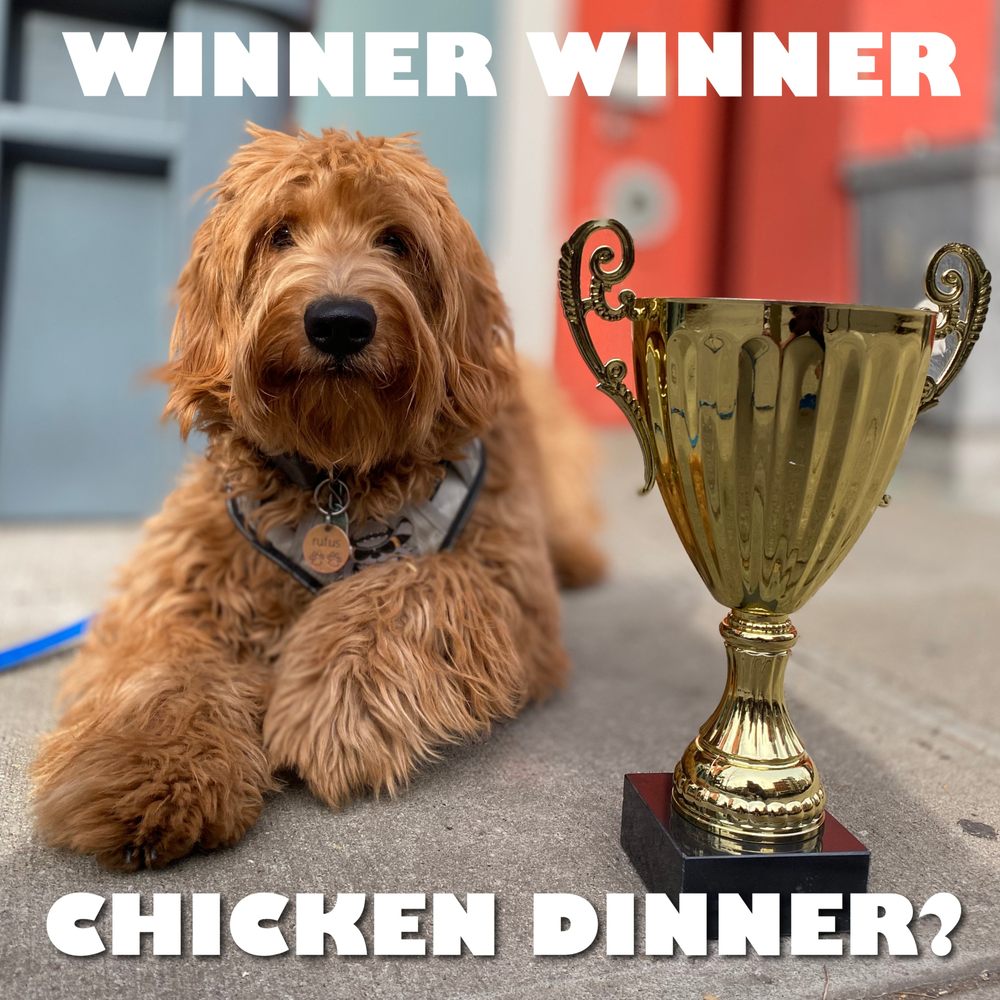 EMPIRE OF THE DOG Updated April 2024 28 Photos & 87 Reviews 415 Grand St, Brooklyn, New