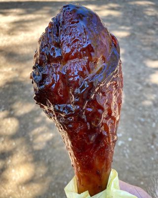Texas Renaissance Festival by null