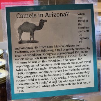 Chees Indian Store - Cool story - Accessories Near Me - Houck, Arizona