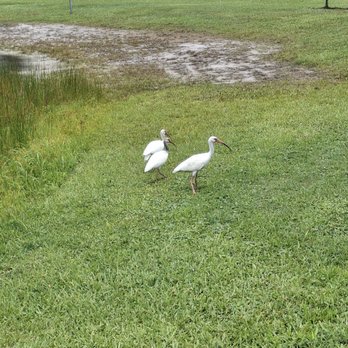 Police Foundation Park - Parks Near Me - Melbourne, Florida Police Foundation Park - Parks Near Me - Melbourne, Florida