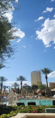 The Palazzo Pool Deck by null