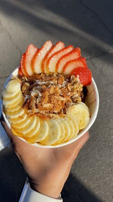 Baya Bowls by null