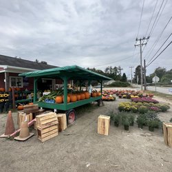 Peters' Farm