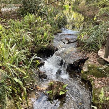 Kanapaha Botanical Gardens - Small, zen waterfall - Tours Near Me - Gainesville, Florida Kanapaha Botanical Gardens - Small, zen waterfall - Tours Near Me - Gainesville, Florida