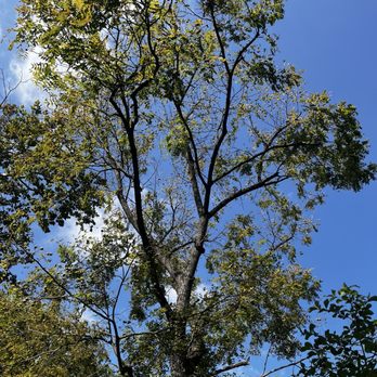 Brown Park - Parks Near Me - Louisville, Kentucky