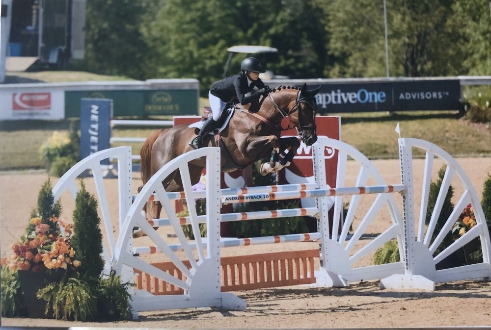 SYNERGY EQUESTRIAN Updated March 2024 11550 Aquilla Rd, Chardon