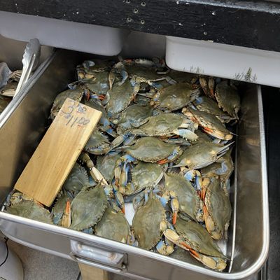 Randazzo's Seafood by null Randazzo's Seafood by null