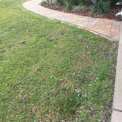 Crescent Termite & Pest Control