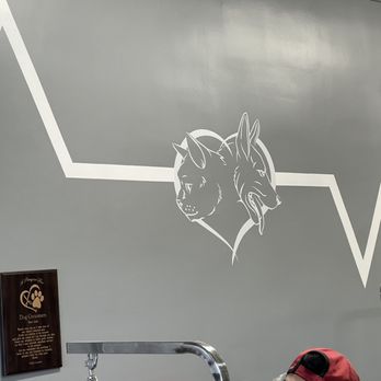 Animal Loving Care - Dope new look/ art and beautiful, fresh paint on the walls - Pet Sitting Near Me - Brooklyn, New York Animal Loving Care - Dope new look/ art and beautiful, fresh paint on the walls - Pet Sitting Near Me - Brooklyn, New York