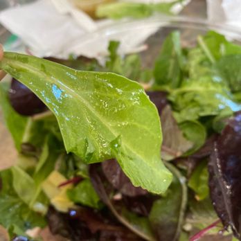 The Toss - Champagne vinaigrette - Salad Near Me - San Carlos, California The Toss - Champagne vinaigrette - Salad Near Me - San Carlos, California