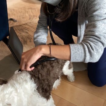 BetterVet West Hills - Veterinarians Near Me BetterVet West Hills - Veterinarians Near Me