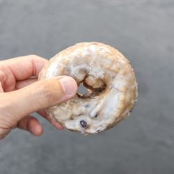 Sophia's Donuts & Sandwiches - Blueberry Glazed Donut.