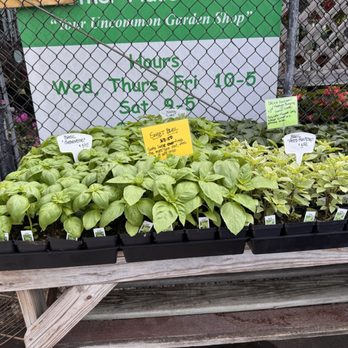Another Place In Time - Herbs - Nurseries & Gardening Near Me - Houston, Texas