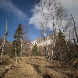 Gold Star Peak - Lower on the trail