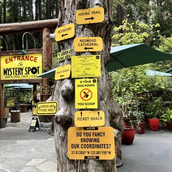 Mystery Spot - Amusement Parks Near Me - Santa Cruz, California Mystery Spot - Amusement Parks Near Me - Santa Cruz, California