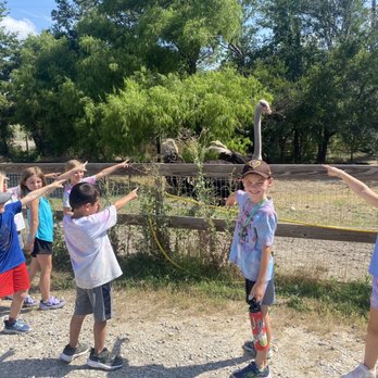 Cathy's Critters - Petting Zoos Near Me - Princeton, Texas Cathy's Critters - Petting Zoos Near Me - Princeton, Texas