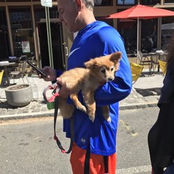 Manayunk StrEAT Festival
