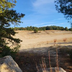 Rhode Island Desert