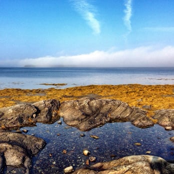 Bar Harbor / Oceanside KOA - Low tide, steps away from 405. - Campgrounds Near Me - Bar Harbor, Maine