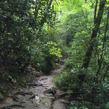 Mingo Falls - Hiking Near Me - Cherokee, North Carolina