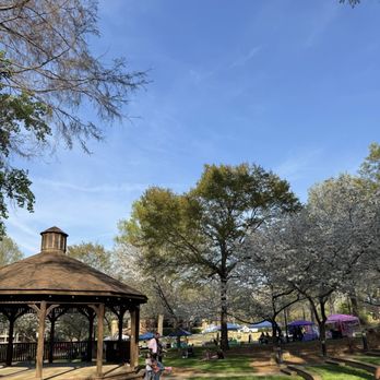 Irmo Town Park - Cherry Blossom Festival - Parks Near Me - Irmo, South Carolina Irmo Town Park - Cherry Blossom Festival - Parks Near Me - Irmo, South Carolina