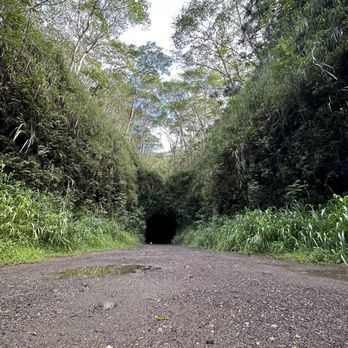 Kauai ATV Tours - Tours Near Me - Koloa, Hawaii