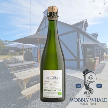 The Wobbly Whale - Pubs Near Me - St. Augustine, Florida The Wobbly Whale - Pubs Near Me - St. Augustine, Florida