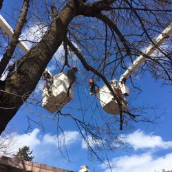 Jennison Tree Services - Jennison Tree Services