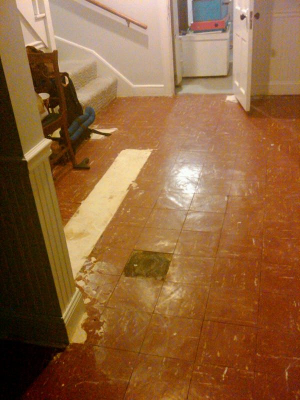 Jees Environmental Services - mold inspector in Charlton, MA