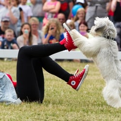 The Pet Show - Ashleigh & Pudsey