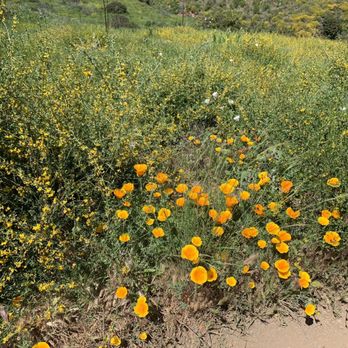 Point Mugu State Park - Parks Near Me - Malibu, California Point Mugu State Park - Parks Near Me - Malibu, California