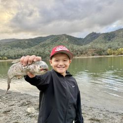 Del Valle Regional Park - Rainbow trout fishing lake del valle.