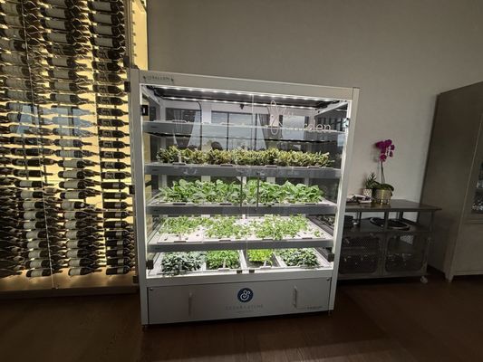 Cedar + Stone, Urban Table by null