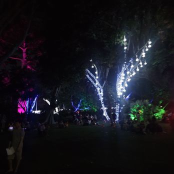 Midsummer Night's gleam - Festivals Near Me - Honolulu, Hawaii Midsummer Night's gleam - Festivals Near Me - Honolulu, Hawaii